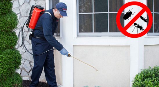 Bornova Böcek İlaçlama böcek ilaçlama ve haşere kontrolü — ilaclama-tr.com